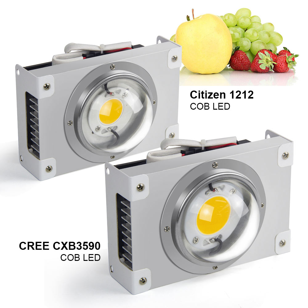 CREE CXB3590 COB LED  , ü Ʈ, 100W..